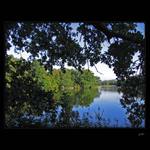 ...romantické zátišie...