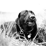 Where are you,my god..