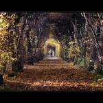 Kampak slečno, takhle na podzim?