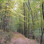 na trase Tišnovské 50 - T7