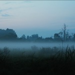 Večerní mlžení
