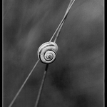 ..............@.......................