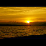 <font color=f8b430><b>*****Atypical Night*****</a></span><br>