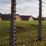 Birkenau