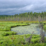 Šumavské zákoutí z Kanady