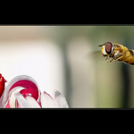 Bacha přistáváááám