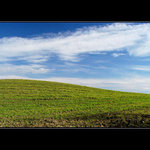 Windows XP