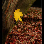 ..::Červená přesila::..