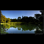 <b>Ranné ticho v parku