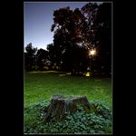 <b>Podvečer v parku