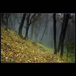 <B><FONT color=#000000>Jesenná diagonála</FONT></B>