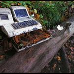 Raz nám to príroda spočíta...