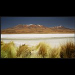 Altiplano - Bolivie