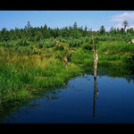 Jizerky - Na čihadle