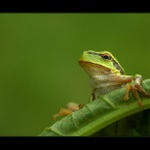 Mě žádný Photopost nezajímá !