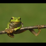 Přemet ? Tsss, levou zadní ...