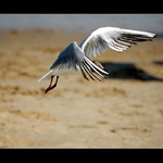 Where is the baby ???