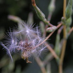 Připraveny k odletu