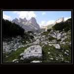 * Šutr, kam se podíváš *