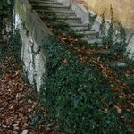 Na starých zámeckých schodech