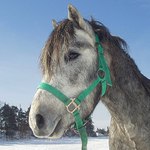 zima se nam blizi...