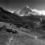 -ama dablam-