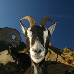 Vítejte v mém království