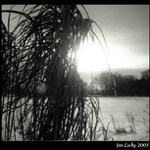 test staré FLEXARETY