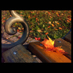 Fall