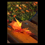 ...undying, death-defying love for You...