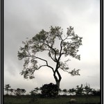 ...pochmúrna jeseň...