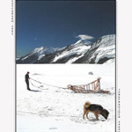 Život na Jungfraujoch
