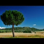 Letní Provence
