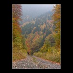<b>. . . : : podzimní krajinou </b>