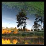 Zelené mraky podzimu