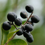 na podzimní notečku