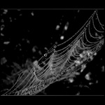 <b>.:Síť z perel:.</b>