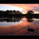 Podvecerni pohoda...