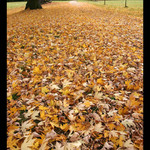 ...takova klasicka podzimni...