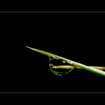 <b>...ZKŘÍŽENÍ...</b> <hr> <b>