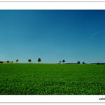 ..:::záchvěvy léta:::..