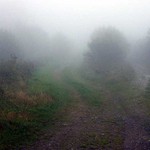 Šumavská rána - Rovina