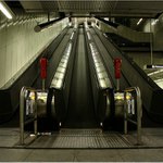 Human escalation II.