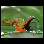 Rozhodující okamžiky