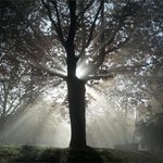 -= Zrozeni noveho dne =-