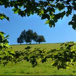 Zelenomodrá krajina II