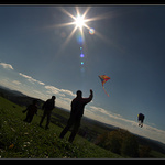 Drakofka Krkonošská