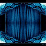 Urban Dystrophy