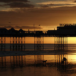 Brighton Pier at low tide III