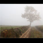 ospalé podzimní ráno ...